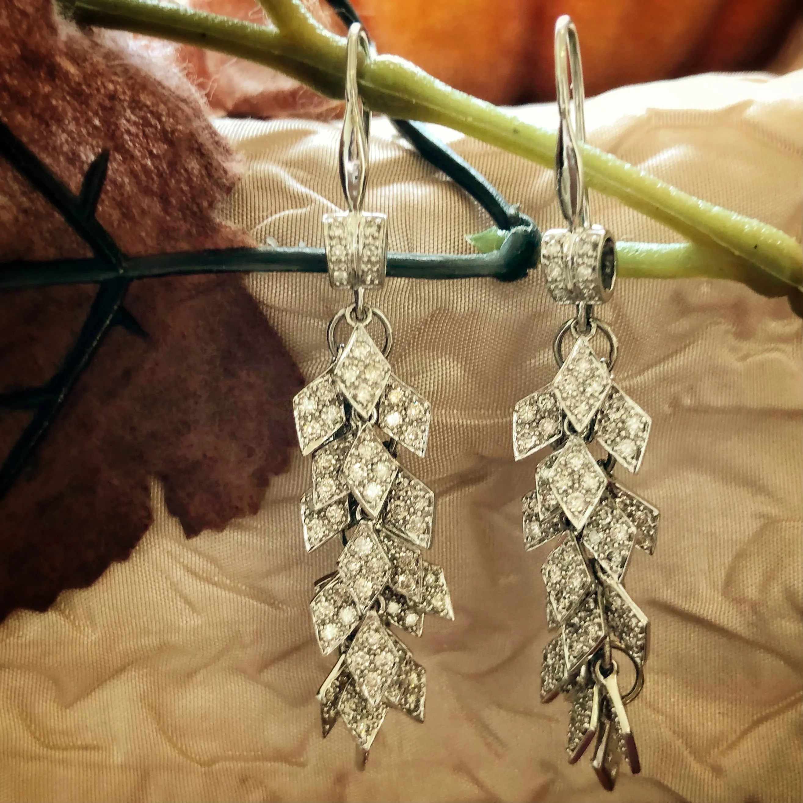 Feather Dangle Earrings