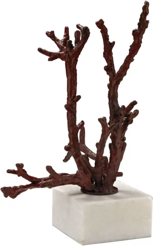 Staghorn Coral Sculpture